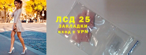 стаф Алексин