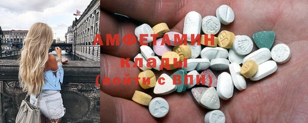 стаф Алексин