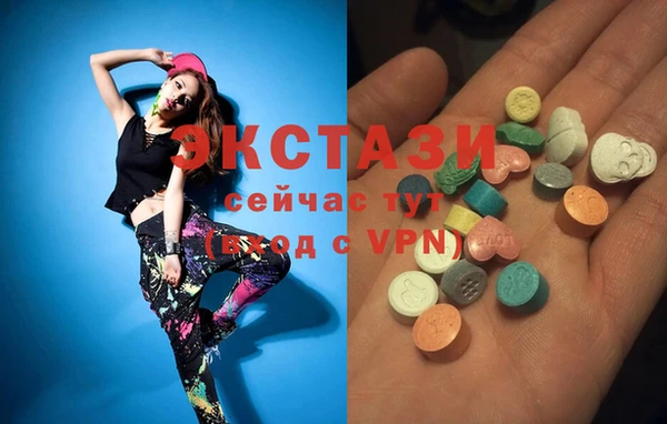 стаф Алексин